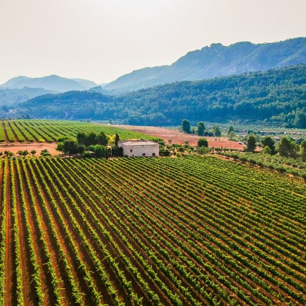 ClosCorVi-